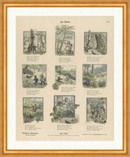 Im Walde A. Holm Baum Fuchs