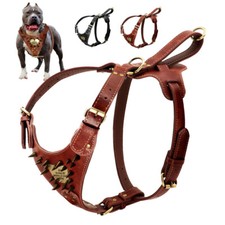 Personalisiert Hundegeschirr