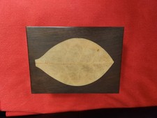 ZINO Humidor Zigarrenschrank für Zigarren GM Feuille de tabac Wie Neu + 6 Zigarr