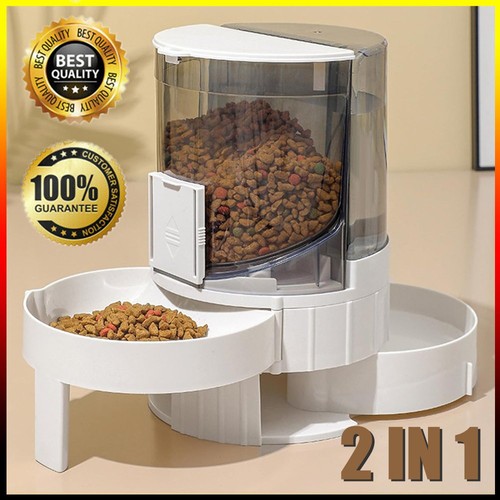 Hunde katzen wasser - hunde, und