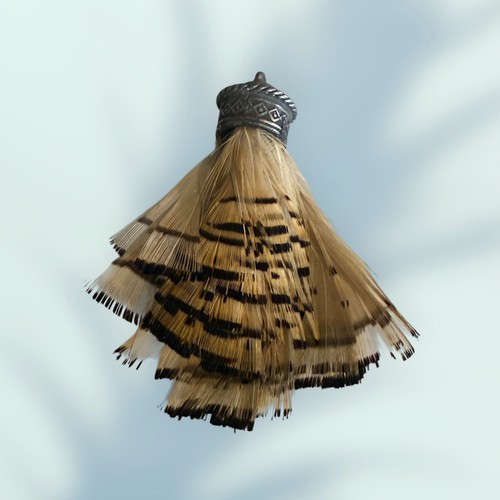 Charivari scharivari fassanen - scharivari,