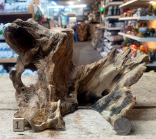 Derwen eiche moorholz 49cm - moorholz, 19-49cm