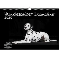 Hundezauber Dalmatiner DIN A3