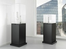 Vitrine VIEW Exponatvitrine