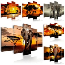 Afrika sonne elefant natur - afrika,