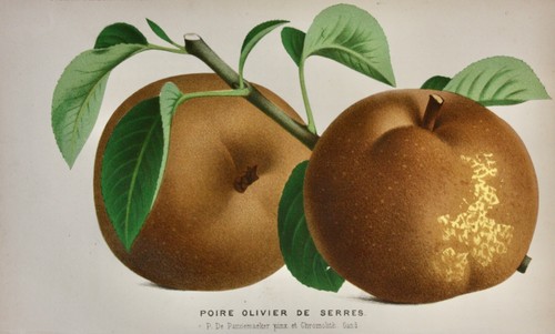 Pieter de pannemaeker - j.,