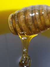 Edelkastanienhonig Kastanienhonig 7 kg aus eigener Imkerei