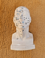 Meridian Modell Menschlicher Akupunkturpunkt Menschlicher Kopf gebraucht