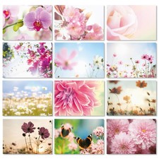 2 x 12 neutrale Blumen