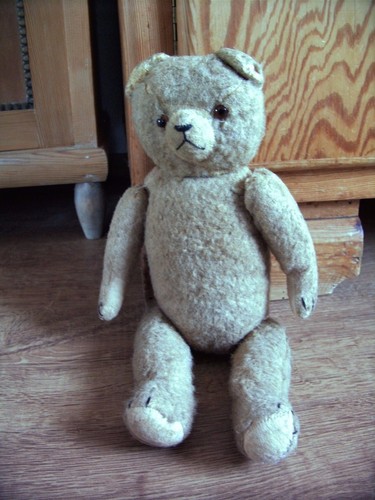 Antiker teddybär aus den - antiker,