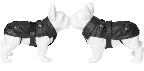 Karl lagerfeld haustiere - karl, hunde