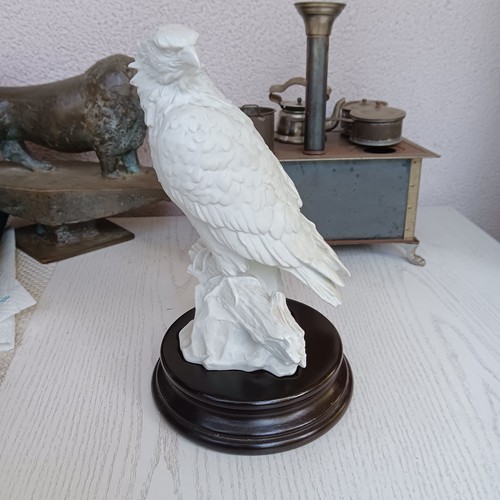 Kaiser weisskopf seeadler - kaiser,