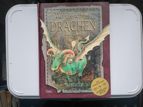 Die wilden drachen hausen - wilden,