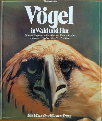 Vögel wald und - in, die