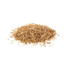 Rasensamen Sport- und