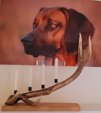 Kerzenständer – Naturdeko