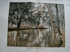 Eisenhammer im Ilsetal aus
