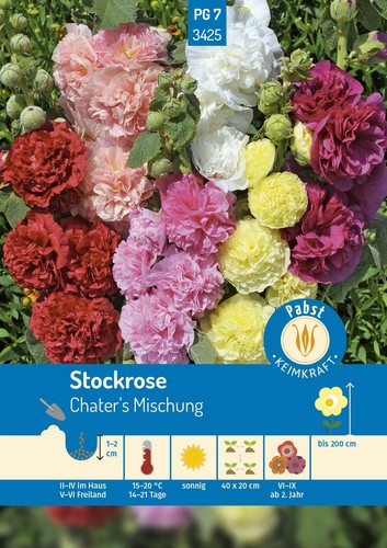 Stockrosen chater mischung - stockrosen, chater's