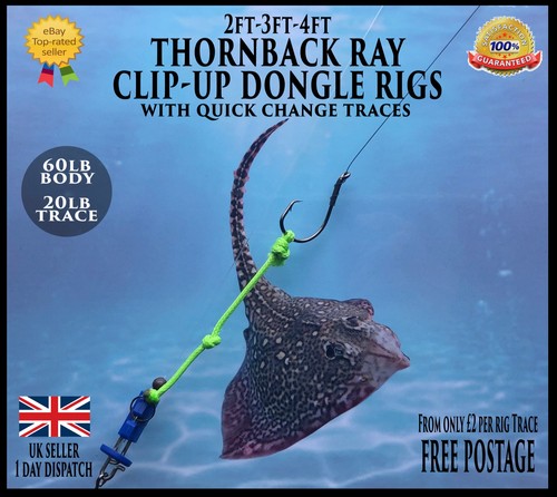 Sea rigs thornback - sea, ray