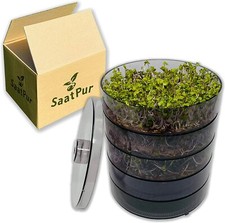 SaatPur Keimbar Set 4|