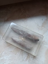 2 Belemniten, Westfalen