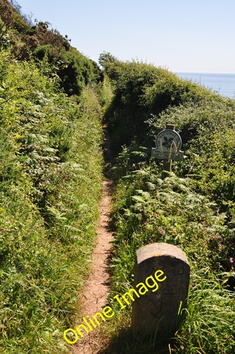 Foto 12x8 south hams - foto,