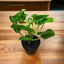 LuckyGreenery Künstliche Pflanzen Pilea, realistische künstliche Pflanzen 27,9cm