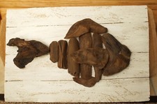 Bild Schwemm- Treibholz Fisch Salmler Strand Sylt fishbone maritim Handwerk