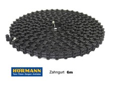 Hörmann EcoStar Liftronic