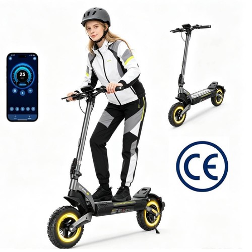Pro e scooter mit - v5, 10''