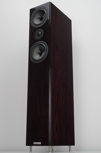 Asw cantius 412 - asw,