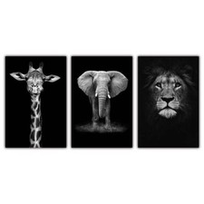 Afrikanische Elefanten Natur