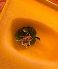 Swarovski Idyllia SCS Käfer