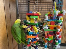 2 Pack Block Knots 9.7 inch