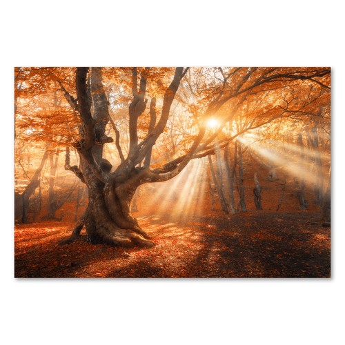 Postereck 3097 poster leinwand - poster,