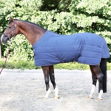 Kavalkade Stalldecke Calgary