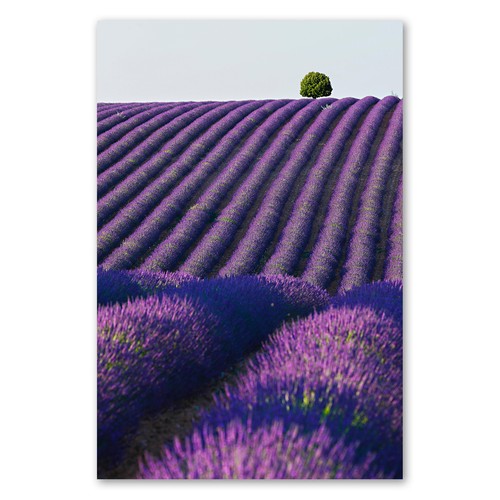 Postereck 3678 poster leinwand - poster,