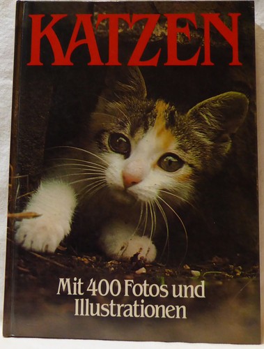 Grace pond katzen alles über - katzen,