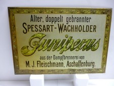 Spessart-Wacholder Juniperus