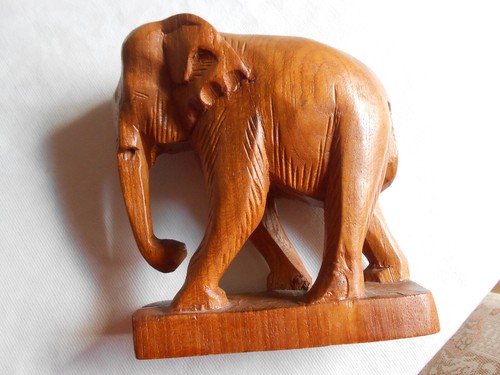 Elefant bulle mit - elefant,
