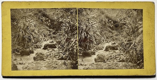 Landschaft bachlauf c1870 - bachlauf,