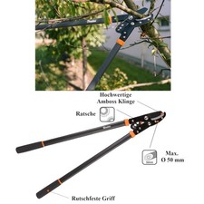 Amboss Astschere mit Ratsche