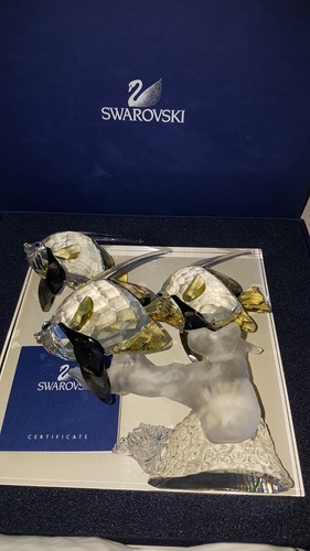 Swarovski wonder the sea - the,