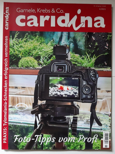 Caridina 2021 garnele - 1/2021,
