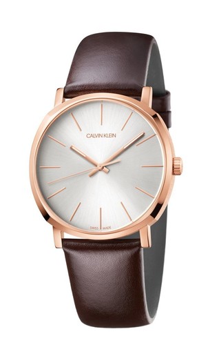 Calvin klein analog quarz - analog,