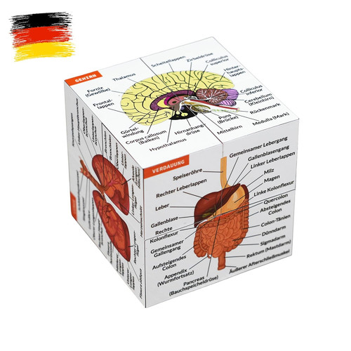 Menschliche anatomie - menschliche,