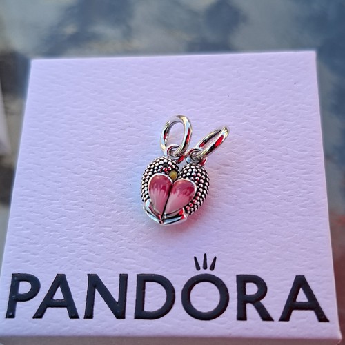 Pandora charm anhänger - pandora,