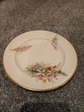 Antiker Royal Worcester 1889