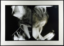 Fotografie in der DDR. "Live