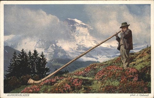 Alphorn - ,
